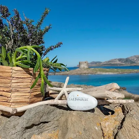 Sardiniare-villa Pelosa Stintino