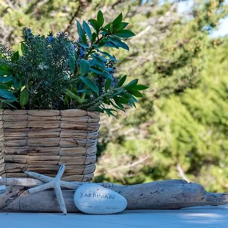 Casa vacanze Sardiniare-villa Pelosa *