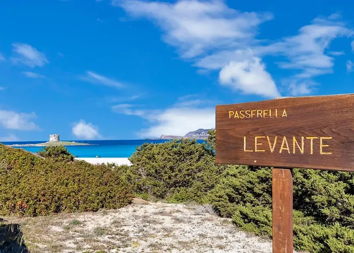 Sardinia Re - Pelosa *