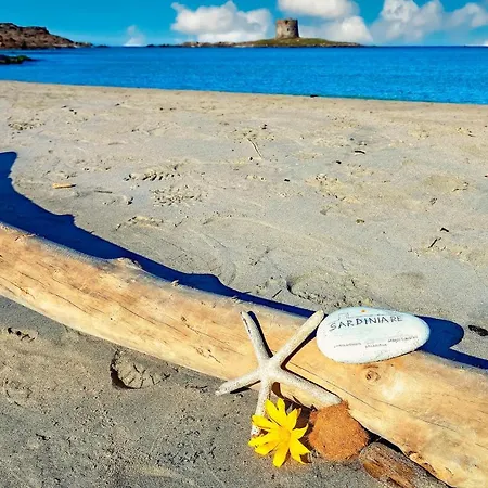 Sardinia Re - Pelosa * Stintino