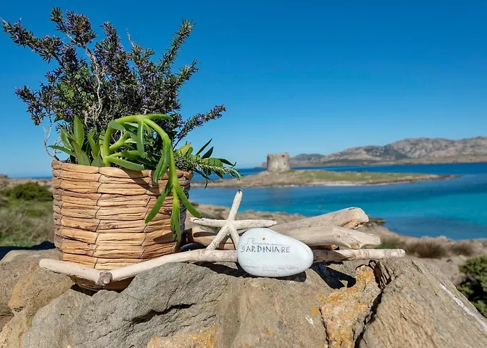 Sardinia Re - Pelosa Stintino