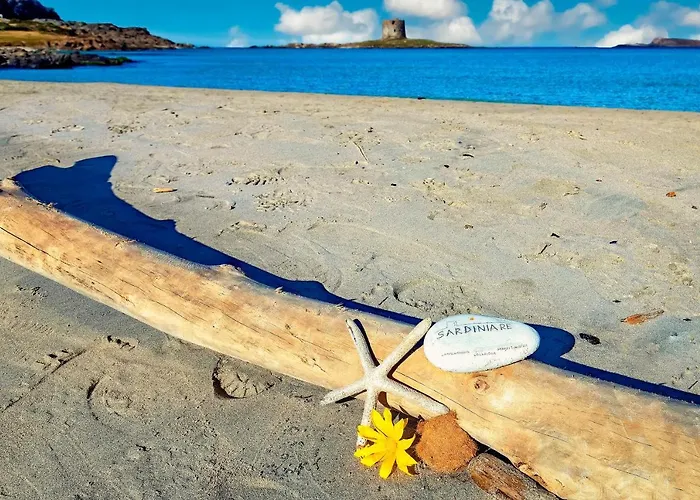 Sardinia Re - Pelosa * Stintino